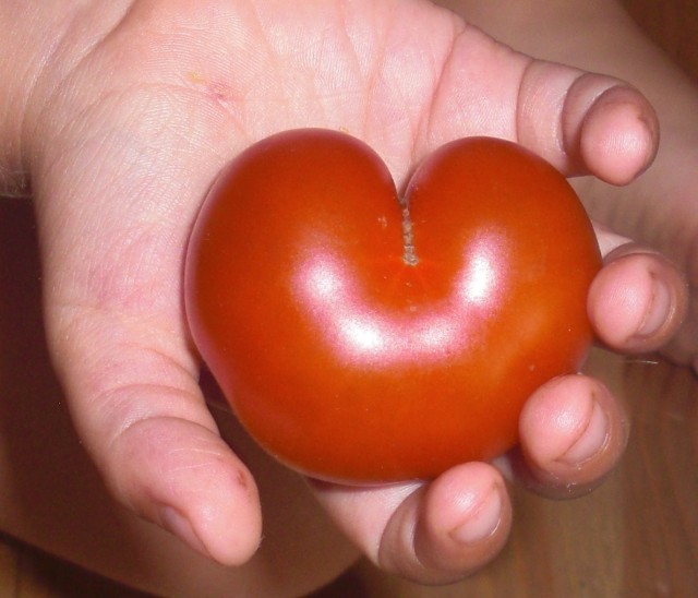 Rosie cu Vitamina L, @ Cristela GEORGESCU 2015