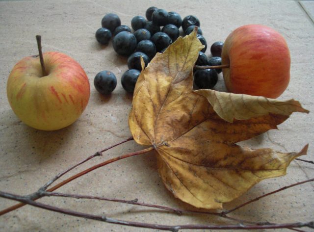 Toamna cu miros de România, ©2012 Cristela GEORGESCU