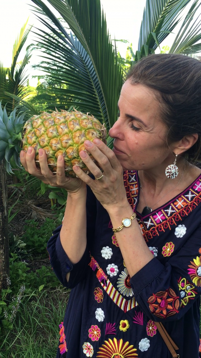Ananas proaspăt cules - Cristela GEORGESCU 2019